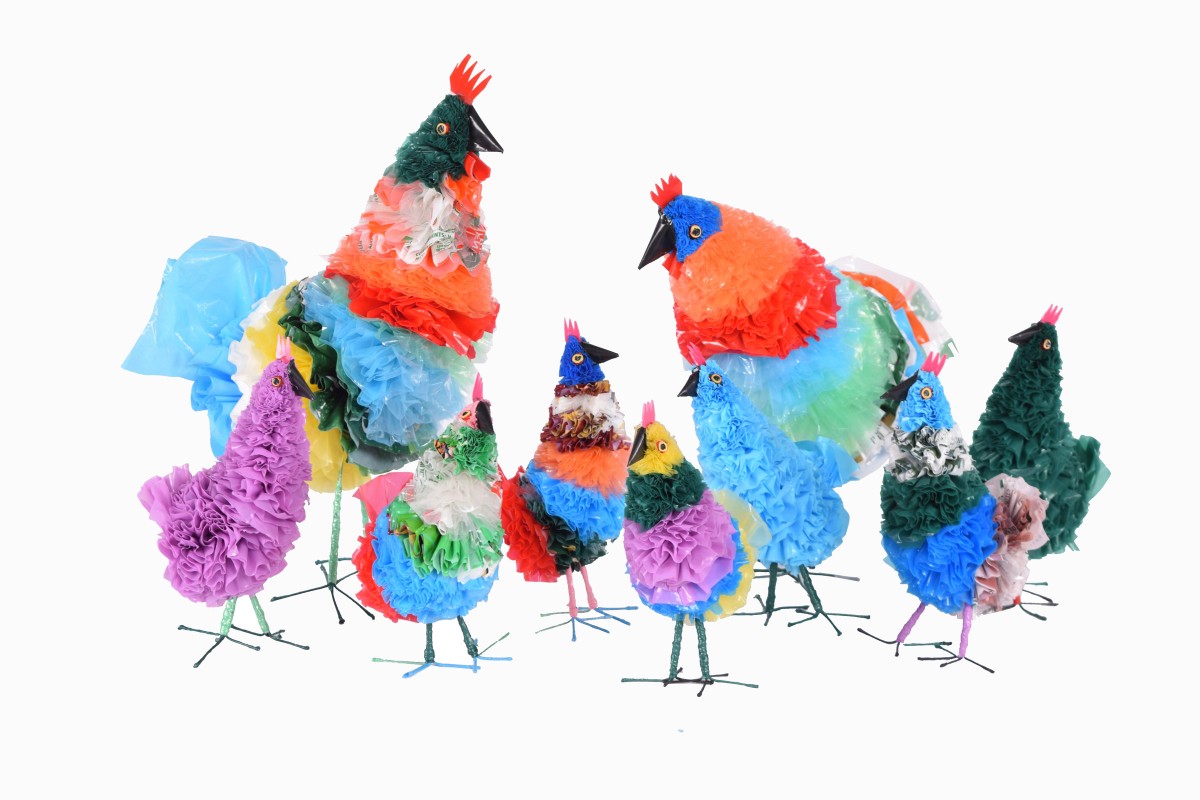 Plastic bag chickens group