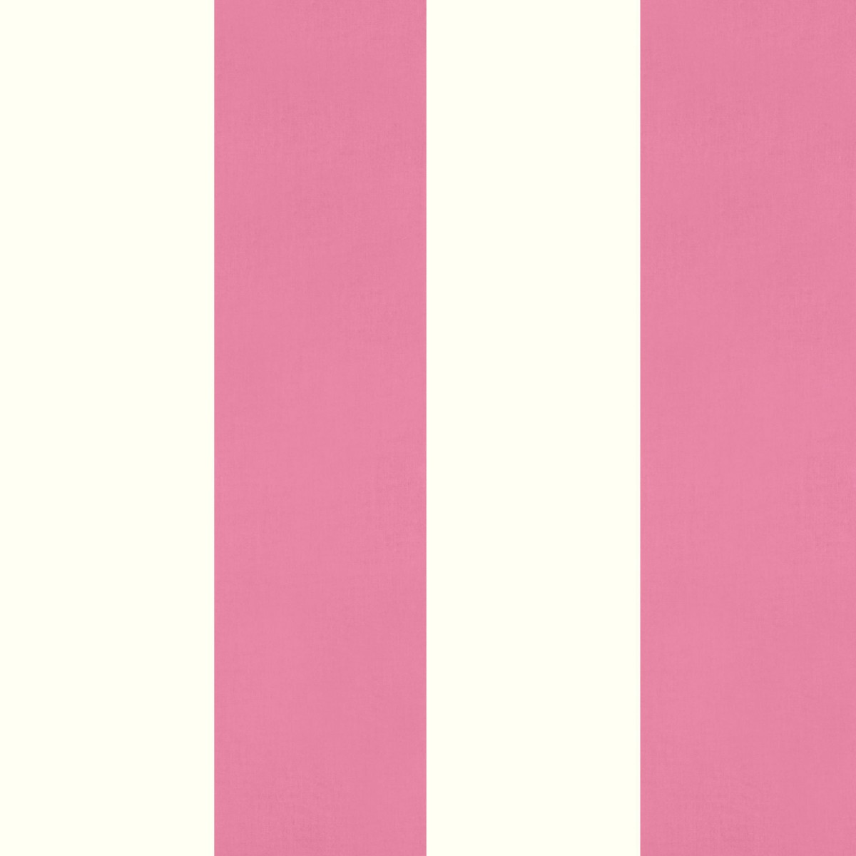 Medium pink stripe