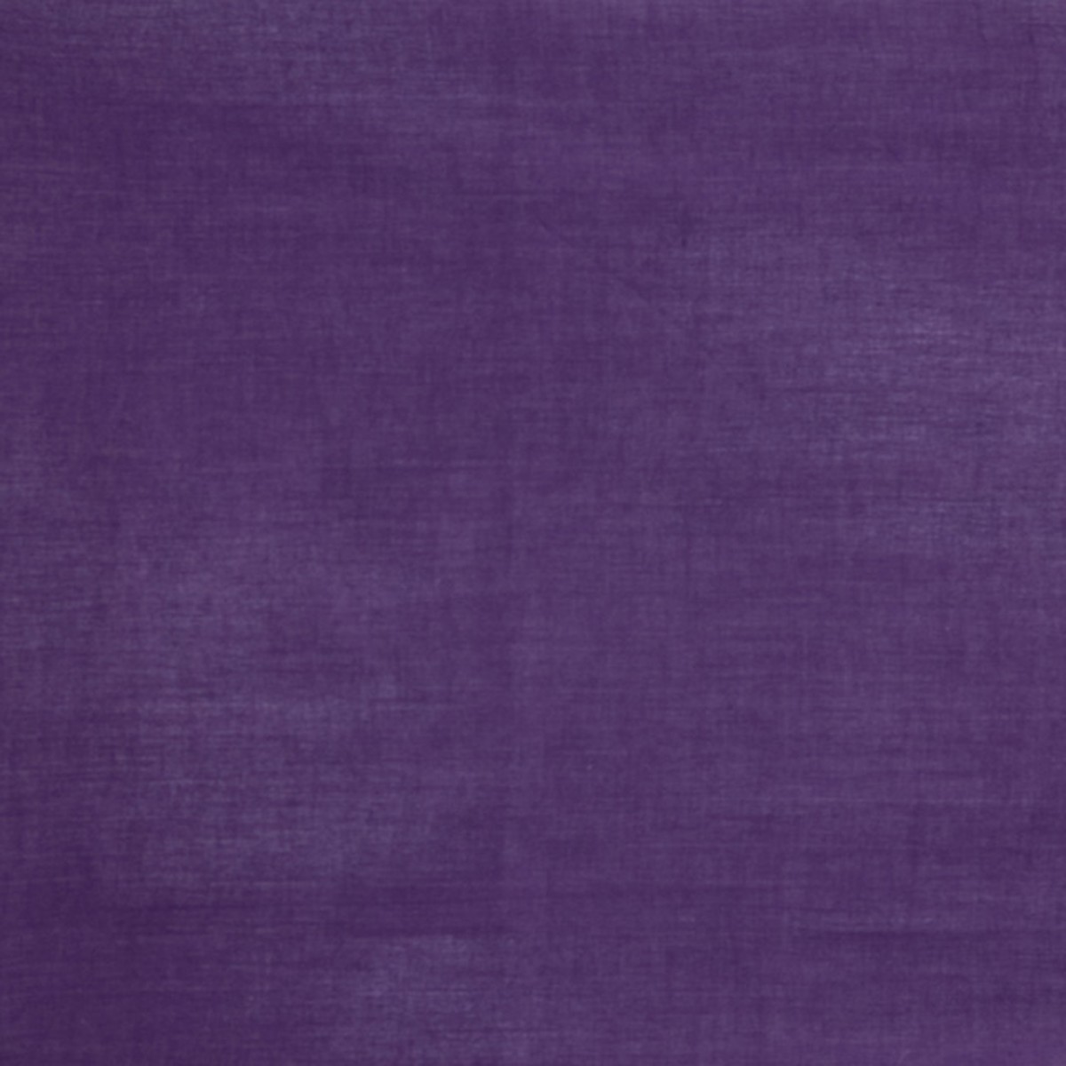 Purple drape