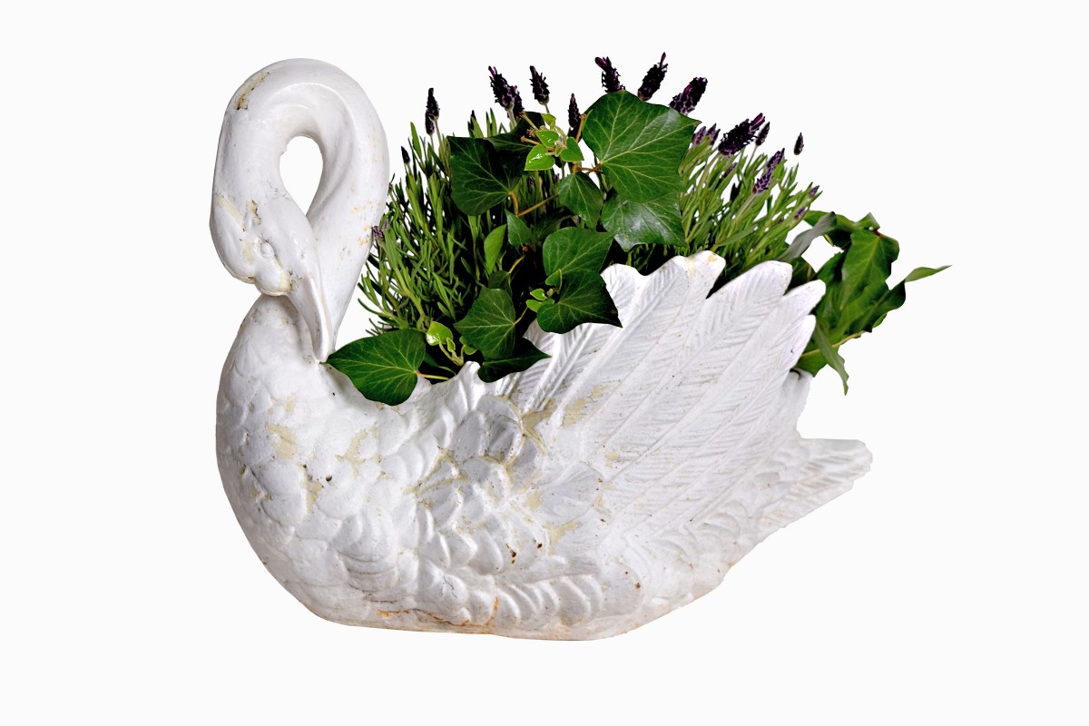 Iron swan plant holder 