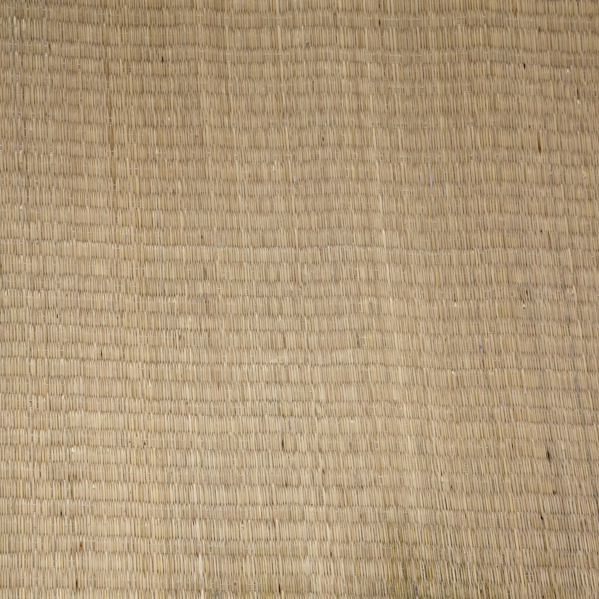 Bamboo matting