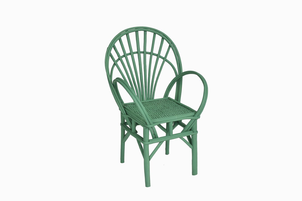 Bentwood chair Ref A green side view