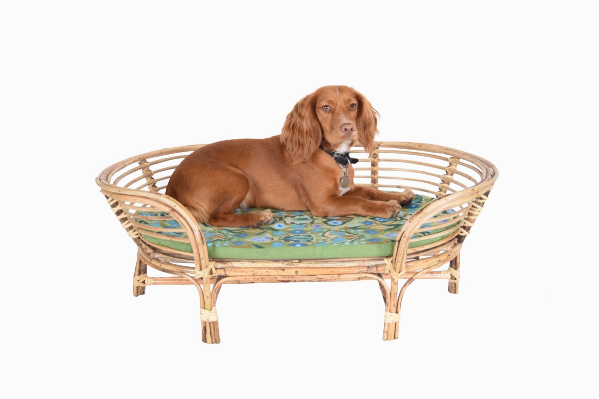 bamboo dog bed