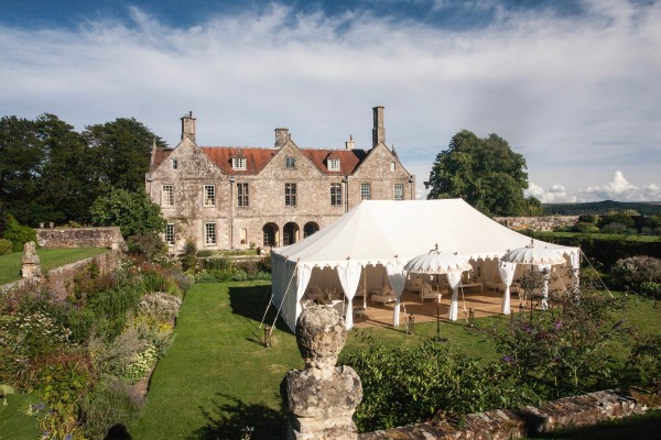 A Single Maharaja in the walled garden at Hatch House, Wiltshire