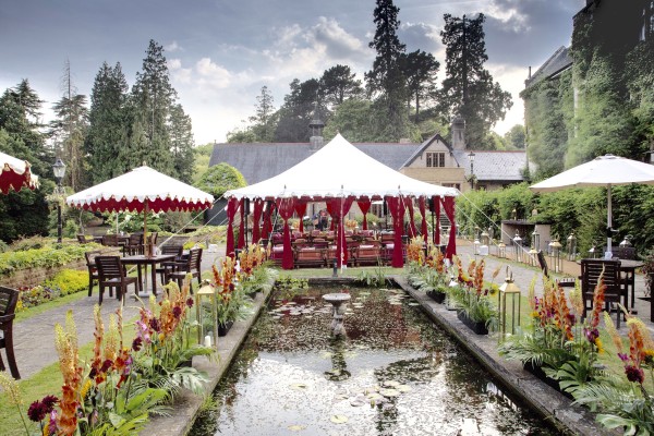 Red gold star Single Maharaja at Pennyhill Park Hotel, Surrey, England