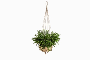 String and cane hanging basket