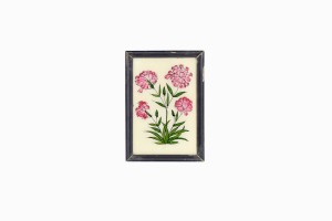 Indian glass painting of some Chinese pinks (small)