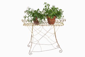 Victorian metal wire jardiniere with plants