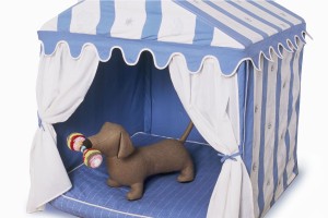 Dog tent blue and cream stripe
