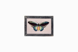 Indian glass painting of a blue butterfly (small)