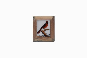 Indian glass painting of a red parrot (very small)(2)