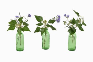 East European small green bottles