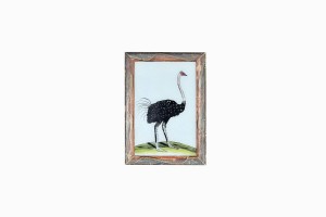 Indian glass painting of an ostrich (small)