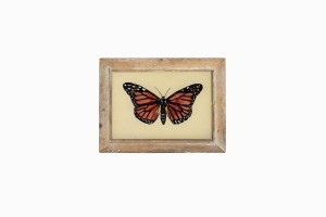 Indian glass painting of tortoiseshell butterfly (small)