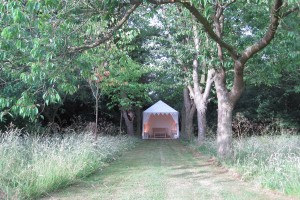 Pergola in woods