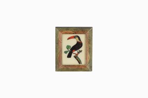 Indian glass painting of a toucan wide frame (very small)