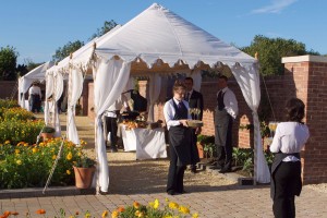 2.8m Pergolas at an event at Chewton Glen Hotel