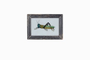 Indian glass painting of a grasshopper (small)
