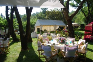 Long Pergola in the South of France