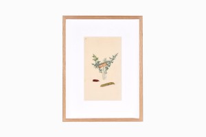 Butterfly print B213-PG