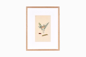 Butterfly print B213-PG