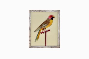 Indian glass painting of a parrot (medium)