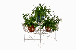 Semi circular Victorian jardiniere with plants