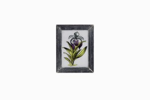 Indian glass painting of an orchid (very small)