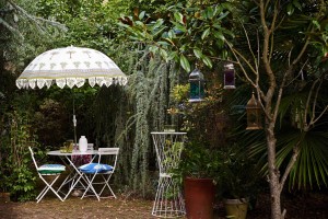 Fan Palm Parasol in garden