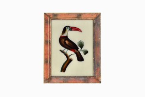 Indian glass painting of a hornbill (medium)