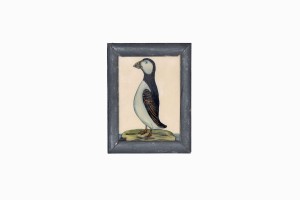 Indian glass painting of a white chested bird (small)