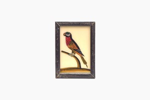 An Indian glass painting of a parrot (small)