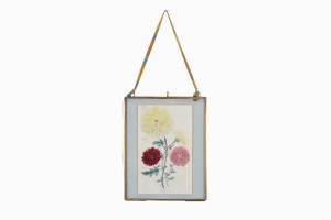 Victorian hand coloured flower picture No 3