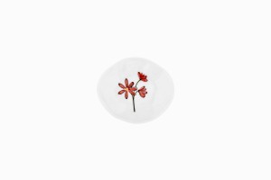 Tiny porcelain dish with red daisy