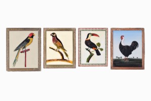 Bird paintings