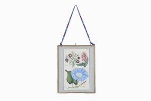 Victorian hand coloured flower print No 4