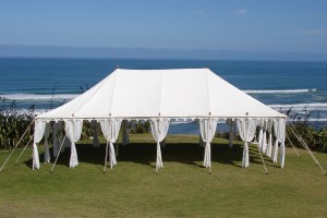 Single Maharaja by the sea, North Island, New Zealand