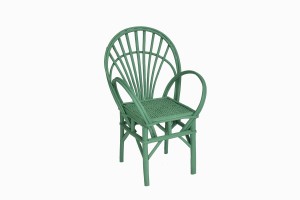 Bentwood chair Ref A green side view