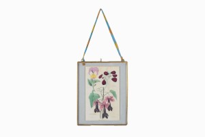 Victorian hand coloured flower print No 6