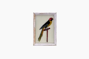 Indian glass painting of a parrot (small)