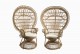 Rattan peacock chairs